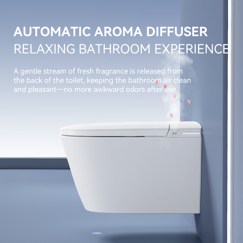 Sanitário Inteligente de Pared - P & C Home Textiles Usa avaliação e preço